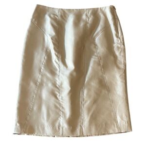 LILLIE RUBIN NWT VINTAGE Silk Skirt -Solid Novelty- Almond Color- 4